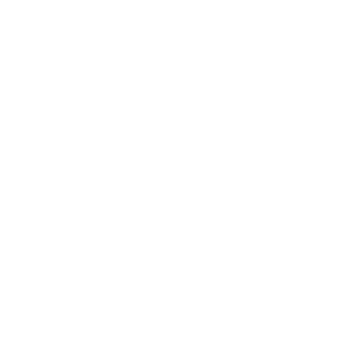 Pirates2